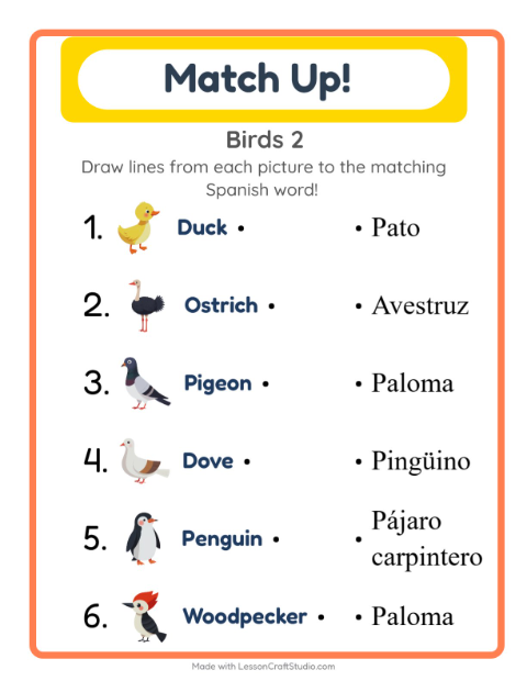 Picture-word match – More Birds