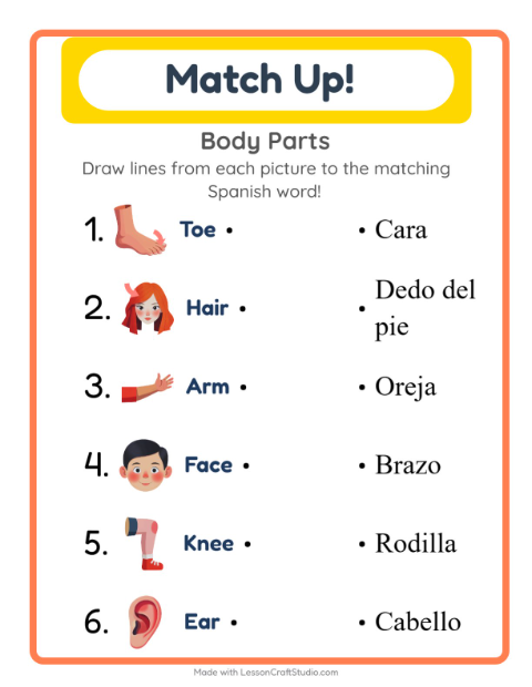 Picture-word match – Body Parts