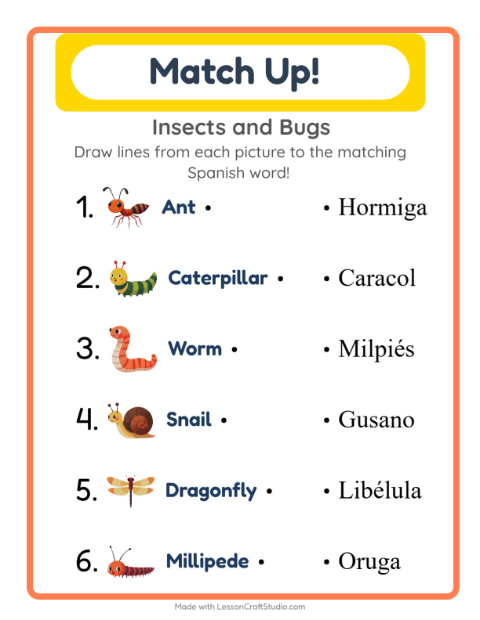 Picture-word match – Insects and Bugs