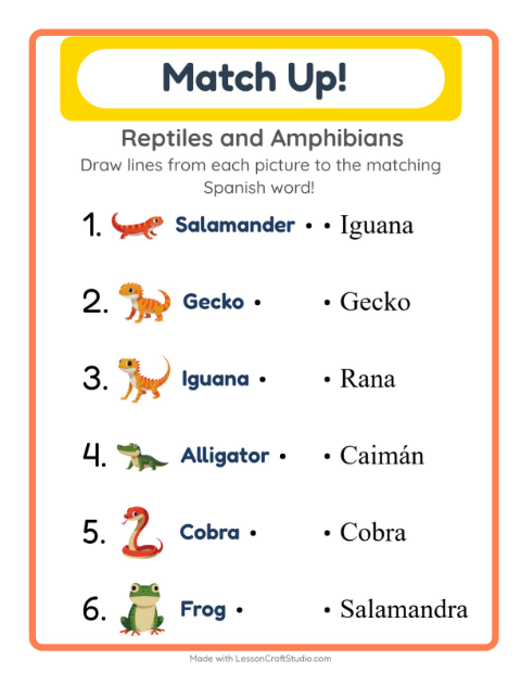 Picture-word match – Reptiles and Amphibians