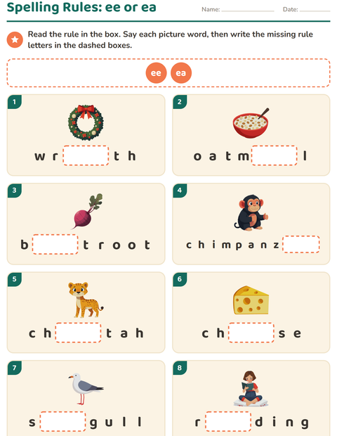 Preview of Spelling Rules worksheet for grade 2