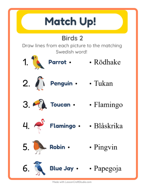 Picture-word match – More Birds