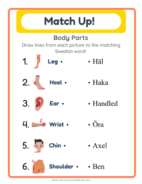 Picture-word match – Body Parts