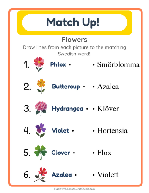 Picture-word match – Flowers