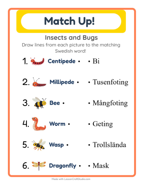 Picture-word match – Insects and Bugs