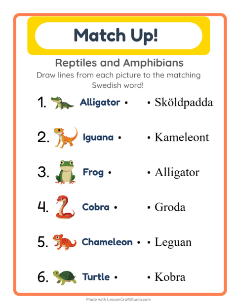 Picture-word match – Reptiles and Amphibians