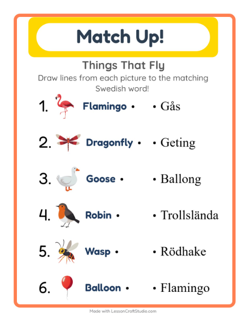Picture-word match – Things That Fly