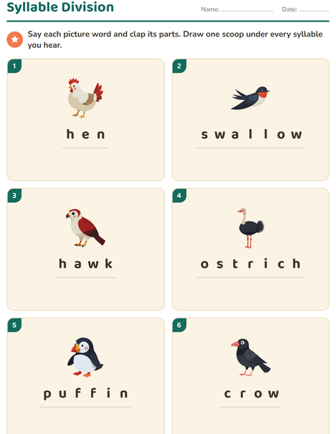 Preview of Syllable Division worksheet featuring Birds 2 for grade 1