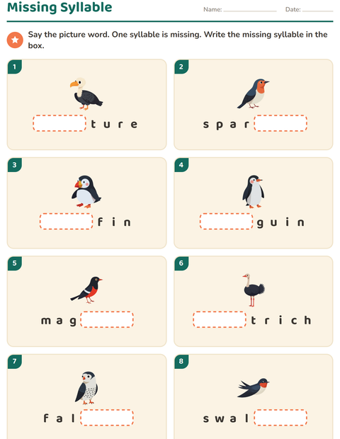 Preview of Syllable Division worksheet featuring Birds 2 for grade 1