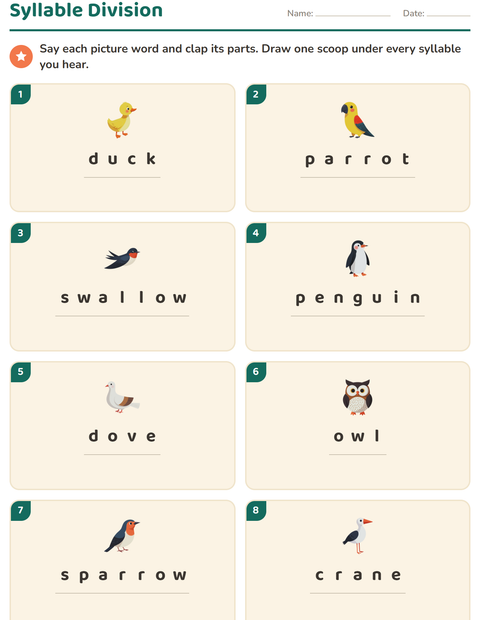 Preview of Syllable Division worksheet featuring Birds 2 for grade 1
