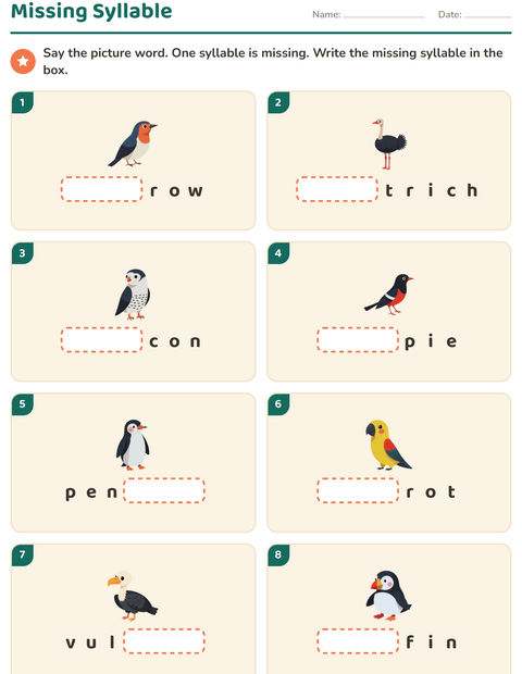 Preview of Syllable Division worksheet featuring Birds 2 for grade 1