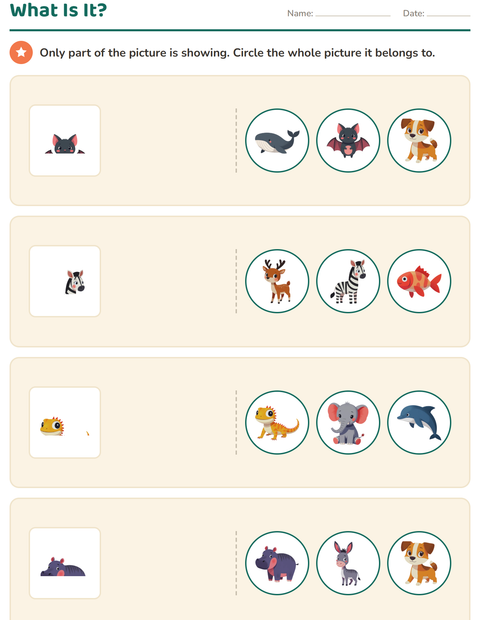 Preview of Visual Discrimination worksheet featuring Animals for kindergarten