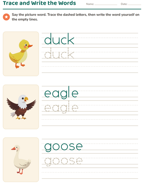 Preview of Word Tracing worksheet featuring Birds 2 for kindergarten