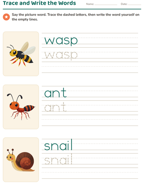 Preview of Word Tracing worksheet featuring Insects and Bugs for kindergarten