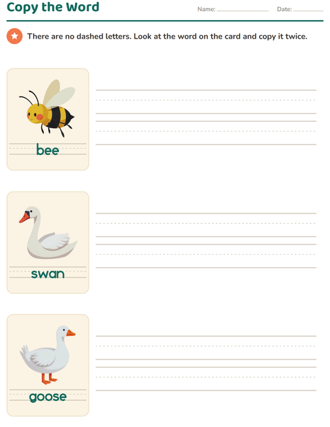 Preview of Word Tracing worksheet featuring Things That Fly for kindergarten