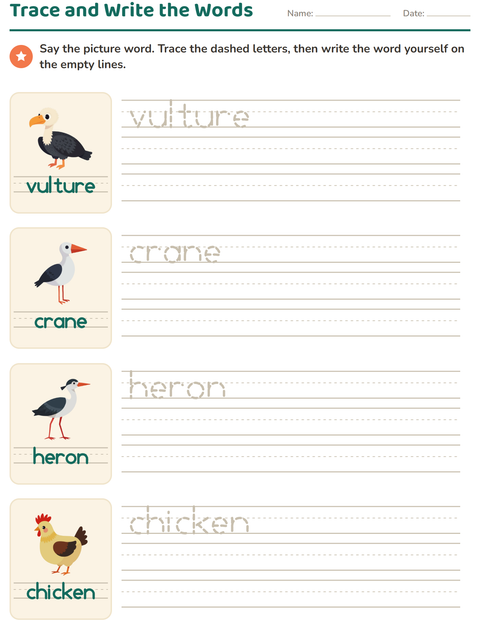 Preview of Word Tracing worksheet featuring Birds 2 for kindergarten