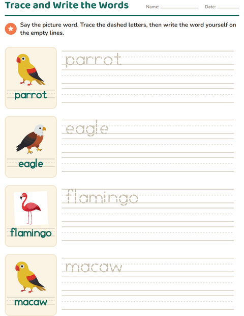 Preview of Word Tracing worksheet featuring Birds for kindergarten