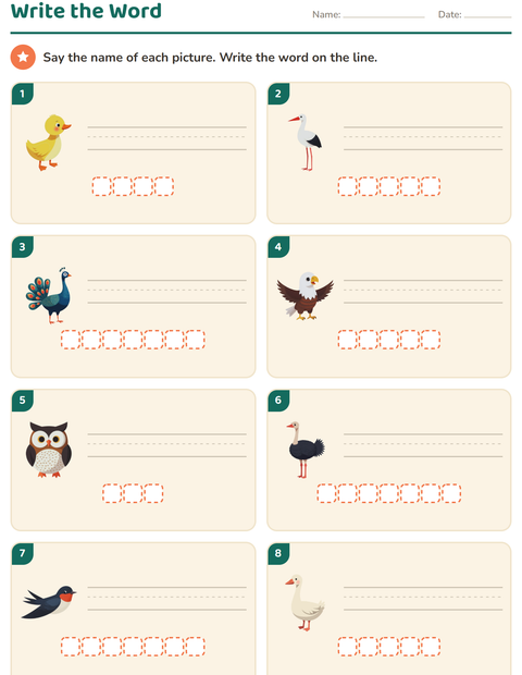 Preview of Write the Word worksheet featuring Birds 2 for grade 1