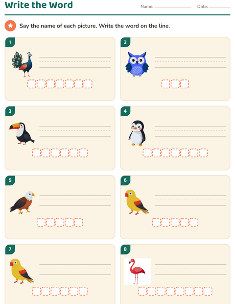 Preview of Write the Word worksheet featuring Birds for grade 1