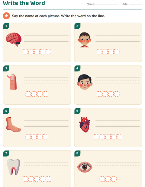 Preview of Write the Word worksheet featuring Body Parts for grade 1
