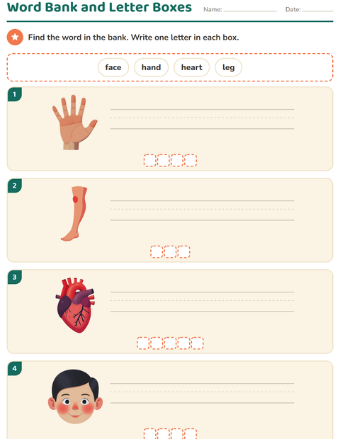 Preview of Write the Word worksheet featuring Body Parts for grade 1