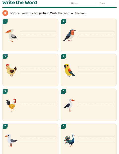 Preview of Write the Word worksheet featuring Birds 2 for grade 1