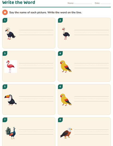Preview of Write the Word worksheet featuring Birds for grade 1