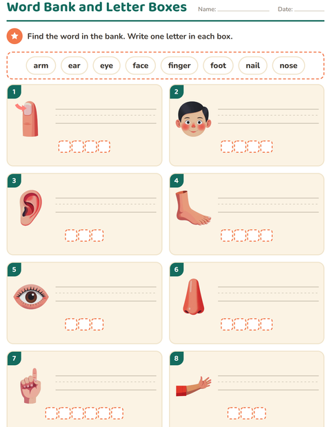 Preview of Write the Word worksheet featuring Body Parts for grade 1