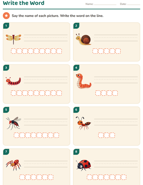 Preview of Write the Word worksheet featuring Insects and Bugs for grade 1