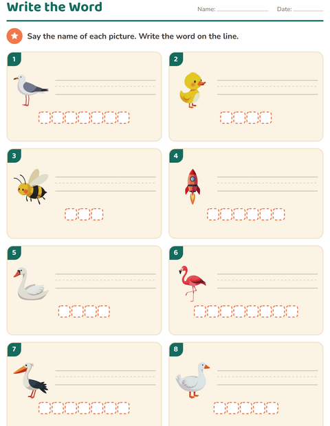 Preview of Write the Word worksheet featuring Things That Fly for grade 1