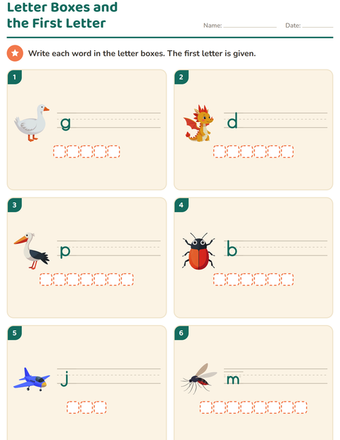 Preview of Write the Word worksheet featuring Things That Fly for grade 1