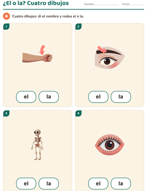 Vista previa de la hoja de Artículos: el o la con Partes del cuerpo para jardín infantil