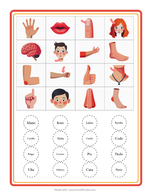 Lotería con Partes del cuerpo