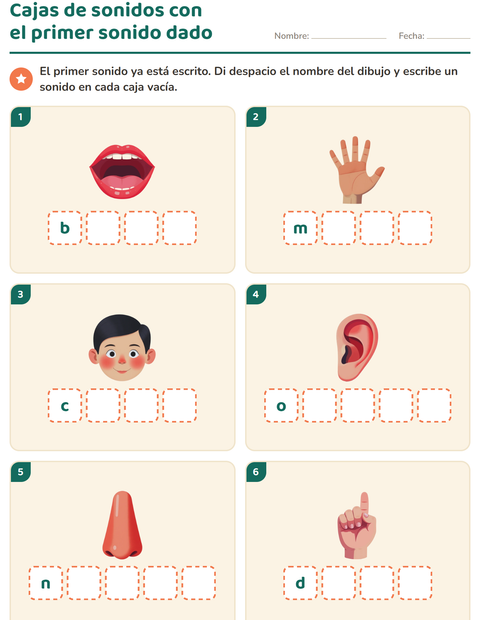 Vista previa de la hoja de Cajas de sonidos con Partes del cuerpo para jardín infantil