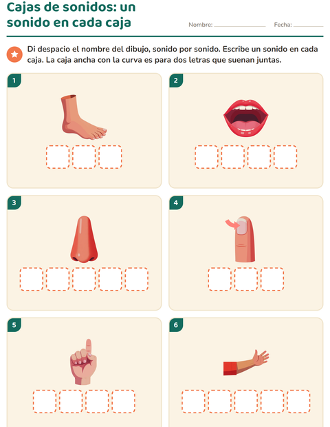 Vista previa de la hoja de Cajas de sonidos con Partes del cuerpo para jardín infantil