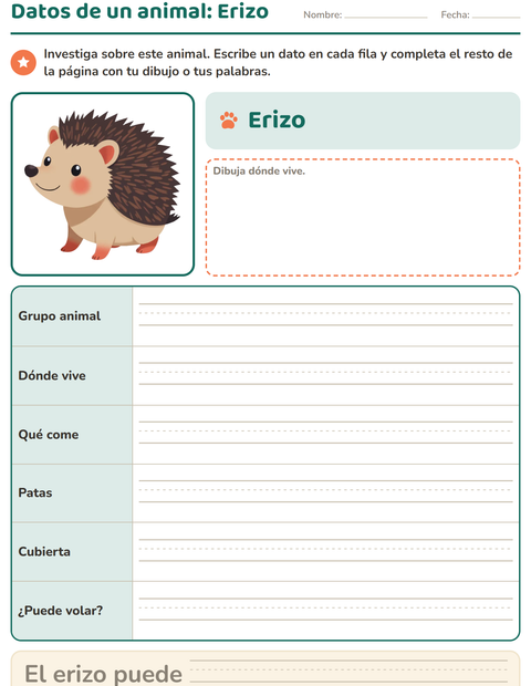Datos de un animal: criaturas del bosque — segundo grado