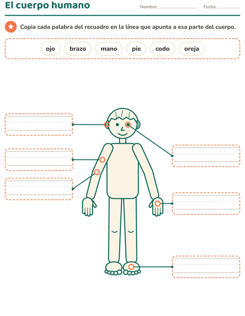 El cuerpo humano: copia el nombre de cada parte — preescolar