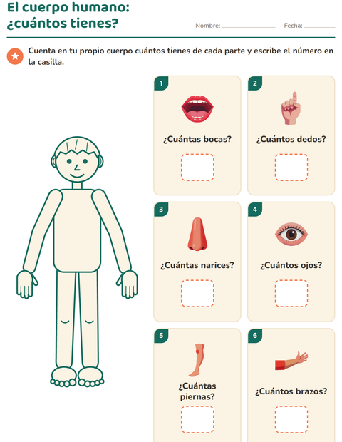 El cuerpo humano: ¿cuántos tienes de cada parte? — preescolar