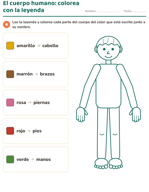El cuerpo humano: colorea cada parte con la leyenda — preescolar