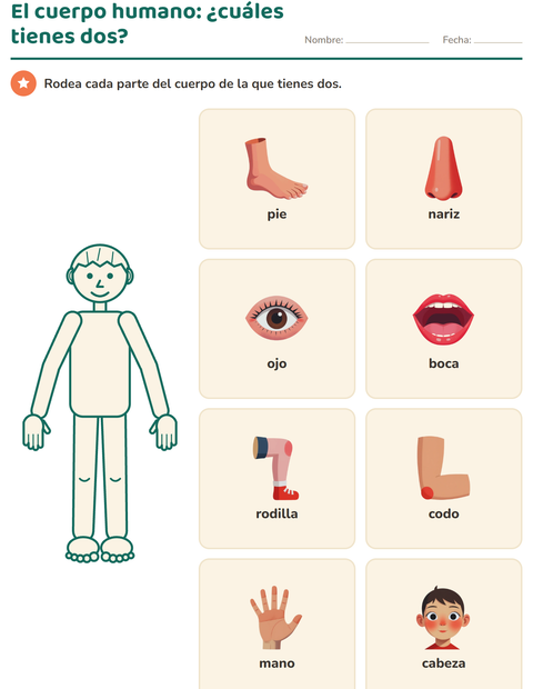 Vista previa de la hoja de El cuerpo humano para jardín infantil
