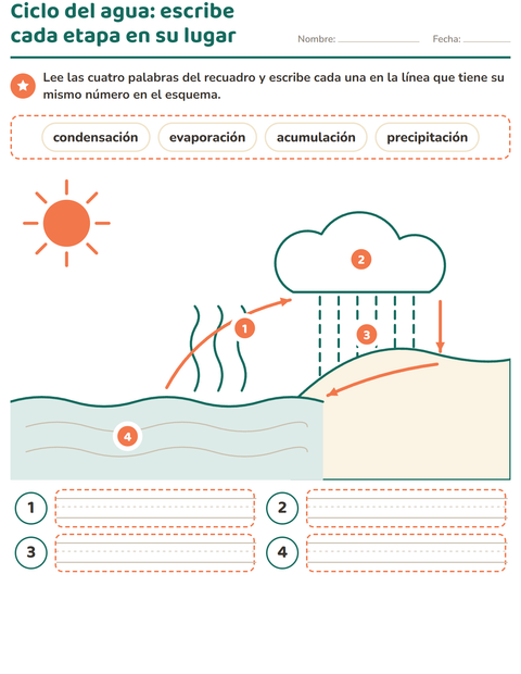 El ciclo del agua: escribe cada etapa en su lugar — tercer grado