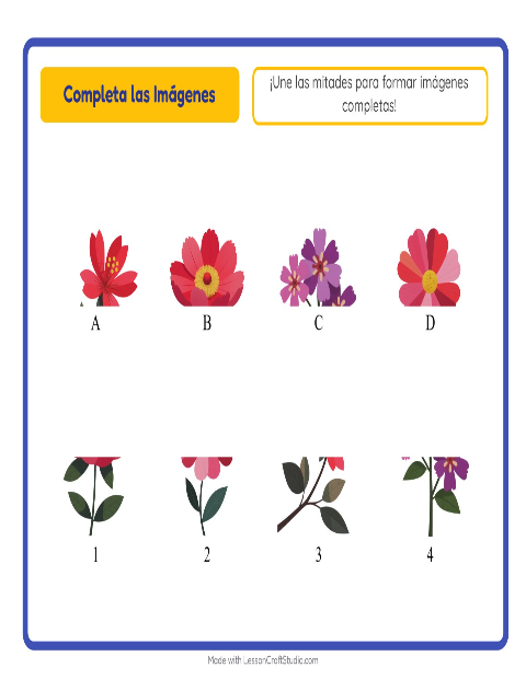 Sombras con Flores
