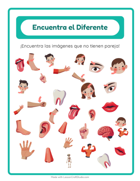 Vista previa de la hoja de Encuentra Los Objetos con Partes del cuerpo para jardín infantil