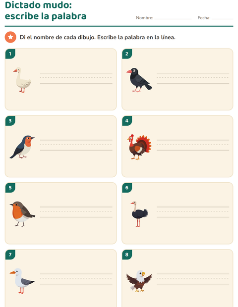 Vista previa de la hoja de Escribir la palabra con Aves 2 para grado 1