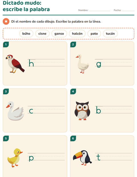 Vista previa de la hoja de Escribir la palabra con Aves 2 para grado 1