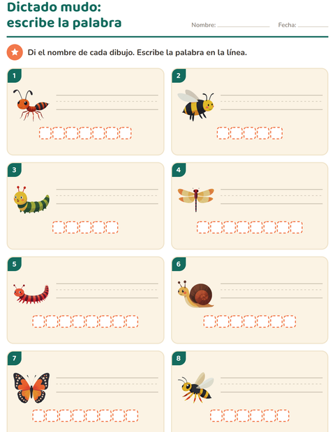 Vista previa de la hoja de Escribir la palabra con Insectos y bichos para grado 1