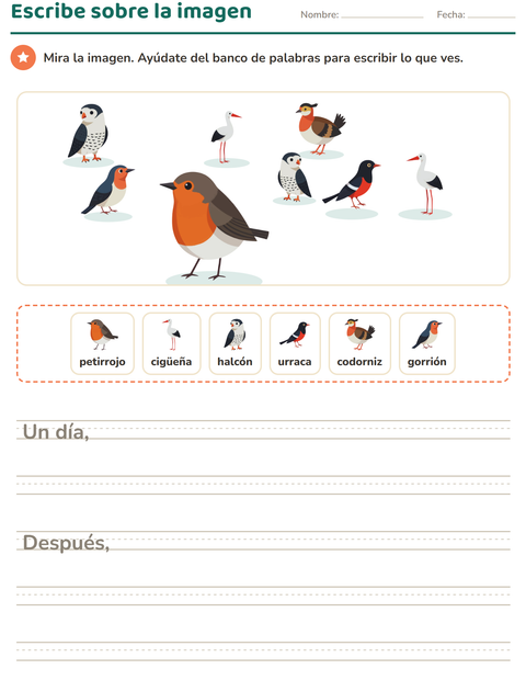 Vista previa de la hoja de Escribir sobre la imagen con Aves 2 para grado 2