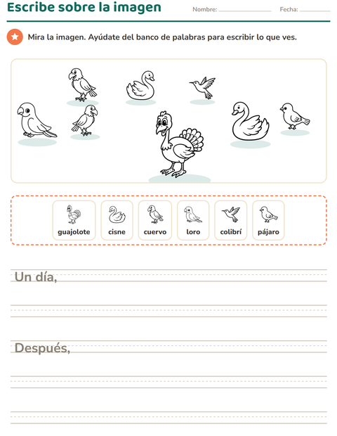 Vista previa de la hoja de Escribir sobre la imagen con Aves ByN 2 para grado 2
