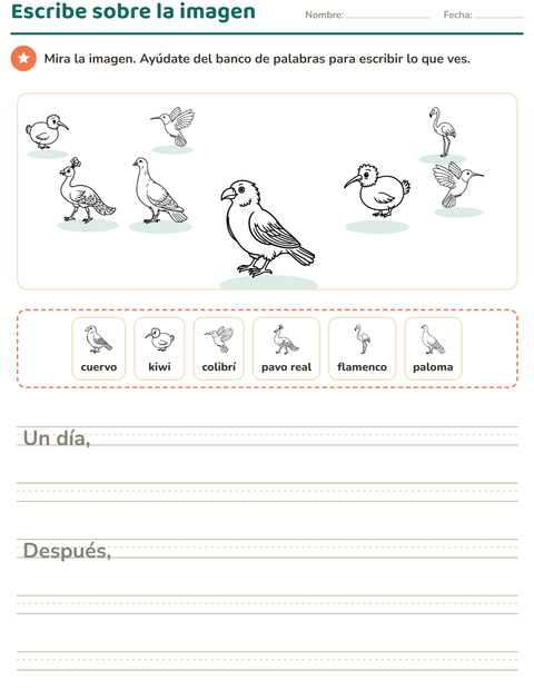 Vista previa de la hoja de Escribir sobre la imagen con Aves ByN para grado 2