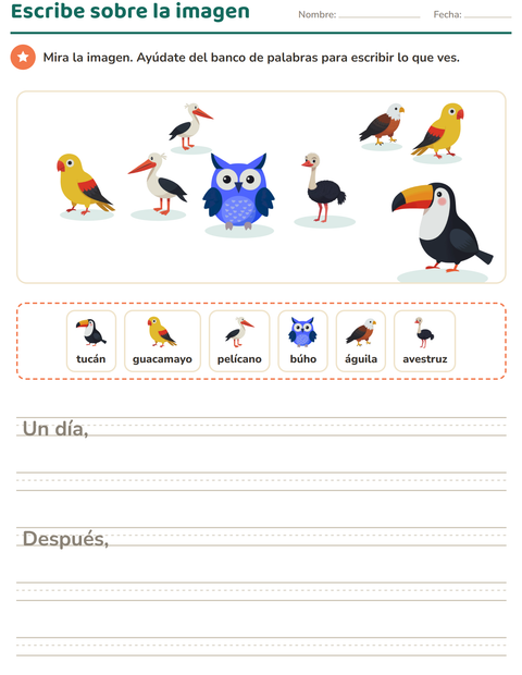 Vista previa de la hoja de Escribir sobre la imagen con Aves para grado 2